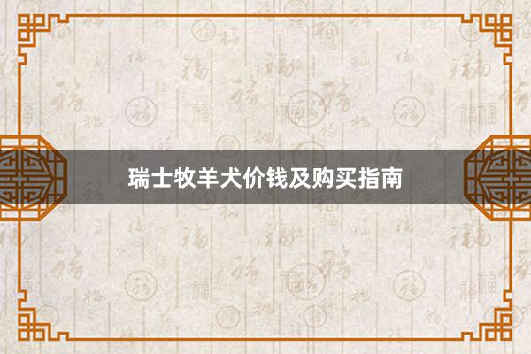瑞士牧羊犬价钱及购买指南