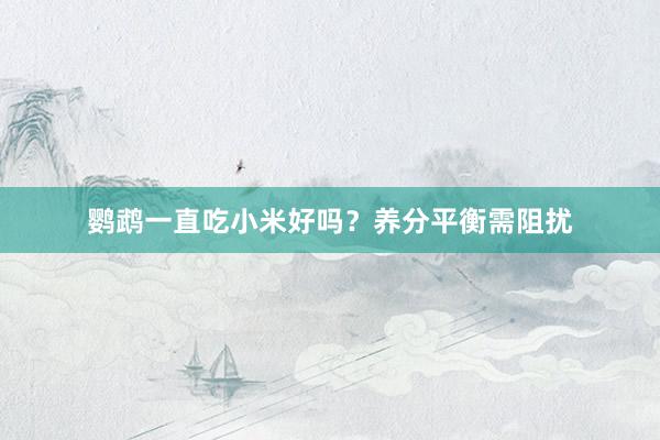 鹦鹉一直吃小米好吗？养分平衡需阻扰